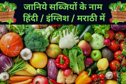 Sabjiyon Ke Naam | सब्जियों के नाम हिंदी / इंग्लिश / मराठी में  